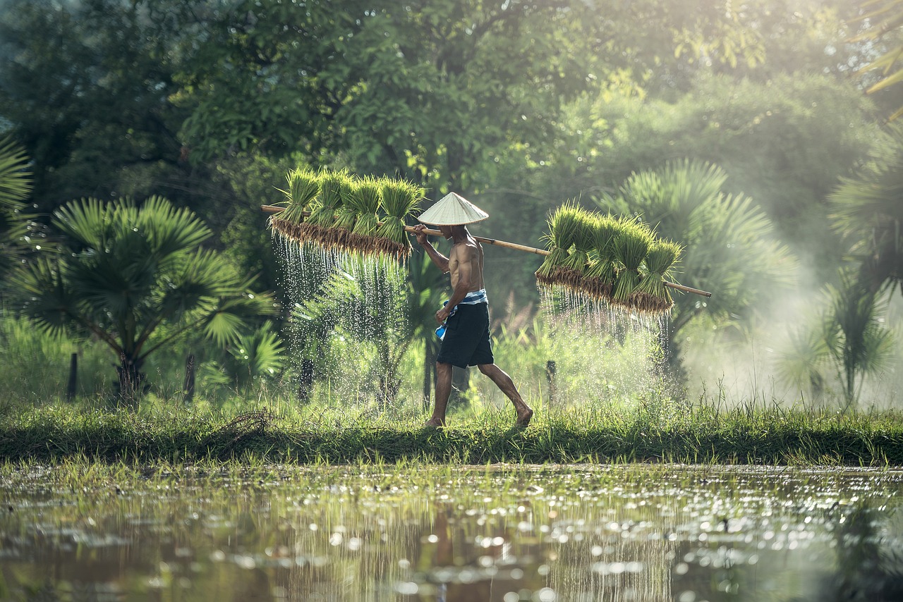 The Role of Perennial Crops in Sustainable Agriculture